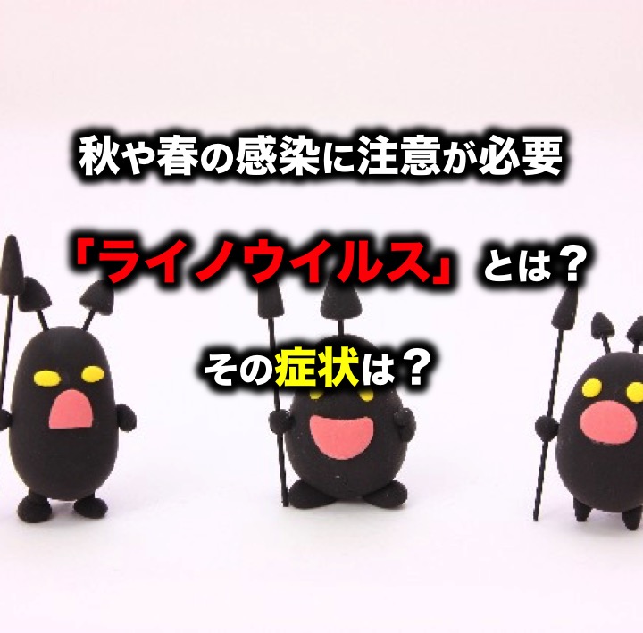 秋や春の感染に注意が必要な「ライノウイルス」って?その症状は?