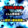 「ESBL産生菌」ってどんな感染症？その症状や感染経路は？